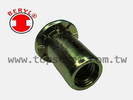 SPECIAL BLIND RIVET NUT SERIES-11-topscrew.jpg