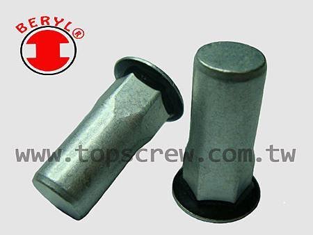 SEAL RIVET NUT SERIES-topscrew.jpg