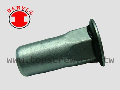 SEAL RIVET NUT -4-topscrew.jpg