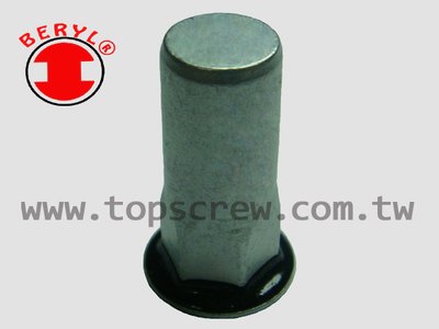 SEAL RIVET NUT -5-topscrew.jpg