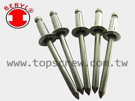 BLIND RIVET SERIES - SS-S BLIND RIVET-topscrew.jpg