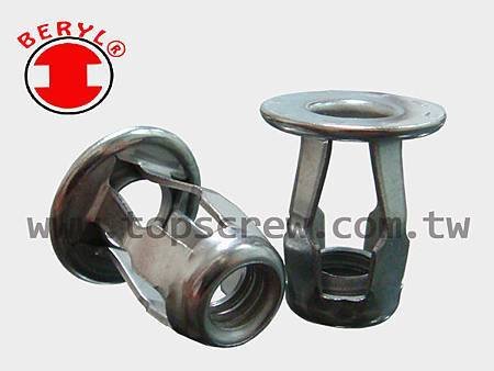 BLIND JACK NUT SERIES-SS-topscrew.jpg