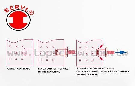 EXPANSION ANCHOR-DRAWING-3-topscrew.jpg