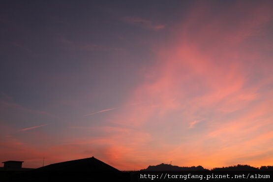 IMG_44266.jpg