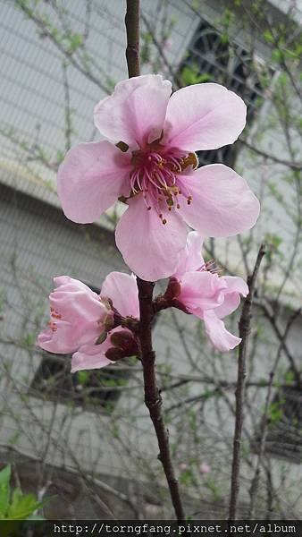 20140207_140628.jpg