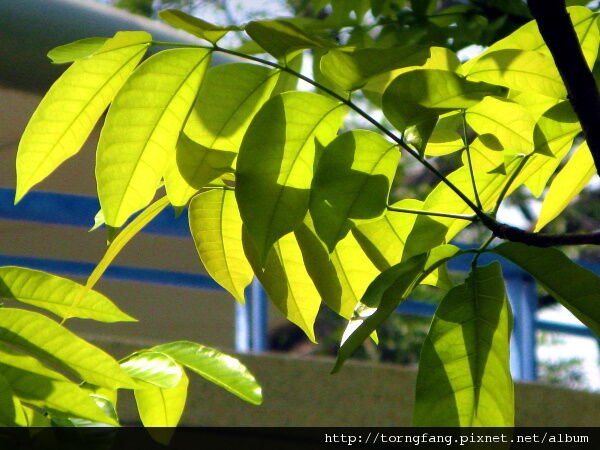 IMG_75600.jpg