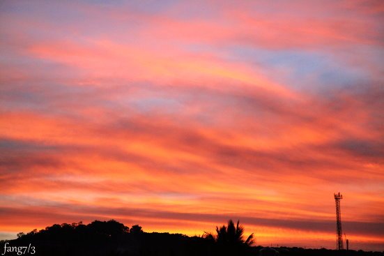 IMG_2739.jpg