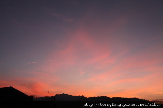 IMG_44388.jpg