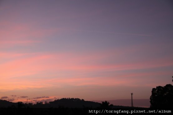IMG_44311.jpg