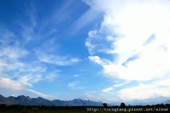 IMG_421599.jpg