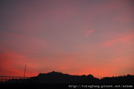 IMG_44455.jpg