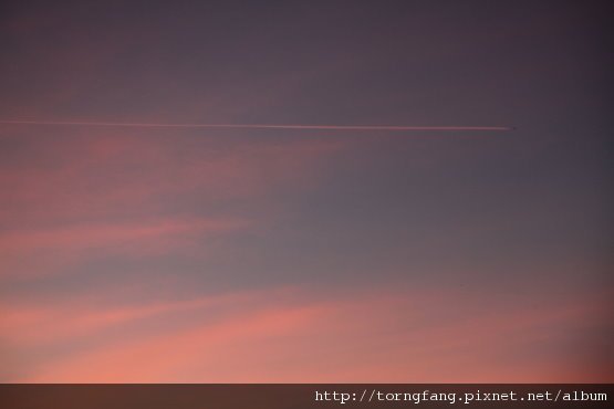 IMG_44277.jpg