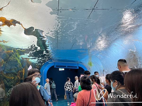 【2023桃園景點】Xpark水族館一日遊｜門票、交通、停車