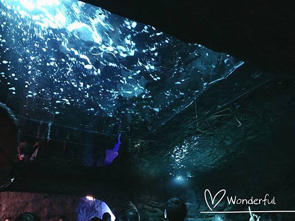 【2023桃園景點】Xpark水族館一日遊｜門票、交通、停車