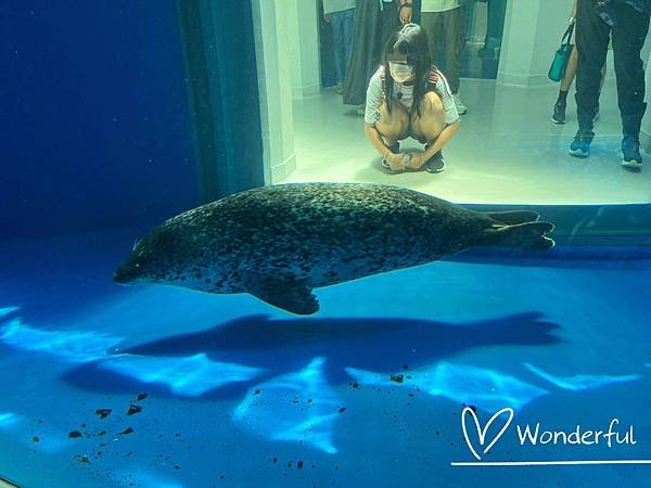 【2023桃園景點】Xpark水族館一日遊｜門票、交通、停車