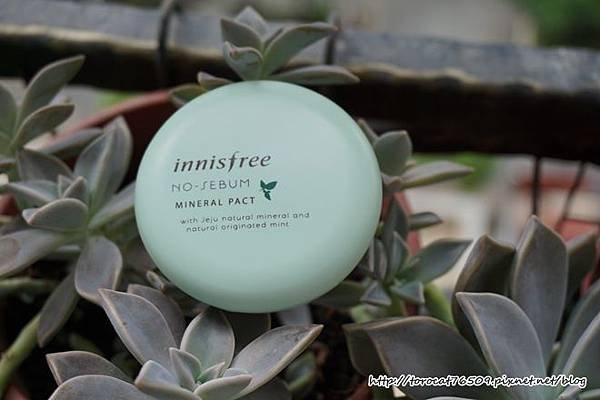 innisfree 無油光天然薄荷礦物控油蜜粉餅.jpg