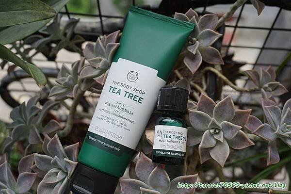THE BODY SHOP茶樹精油x茶樹3效淨膚-磨砂面膜.jpg