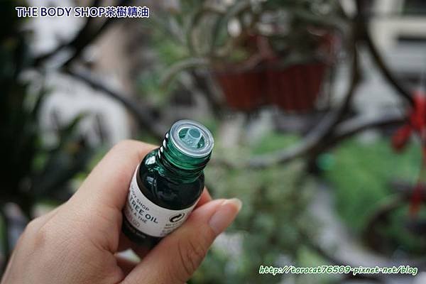 THE BODY SHOP茶樹精油-產品設計2.jpg