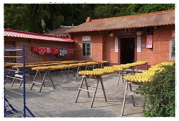 P1430432.JPG