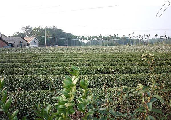 P1450617.JPG
