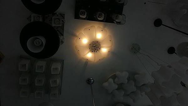造型花.jpg