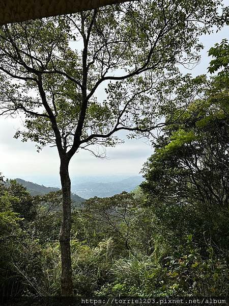 |景。新竹|飛鳳山