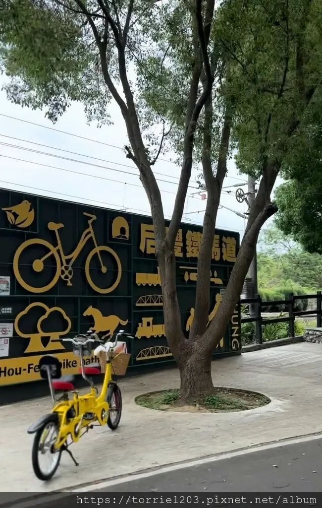 車2.jpg