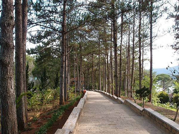  竹林禪寺（Trúc Lâm Temple）寧靜的佛寺，坐落於群山環繞的自然美景中。