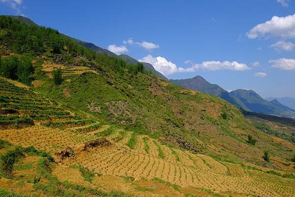 沙巴當地導遊帶領深入村莊。