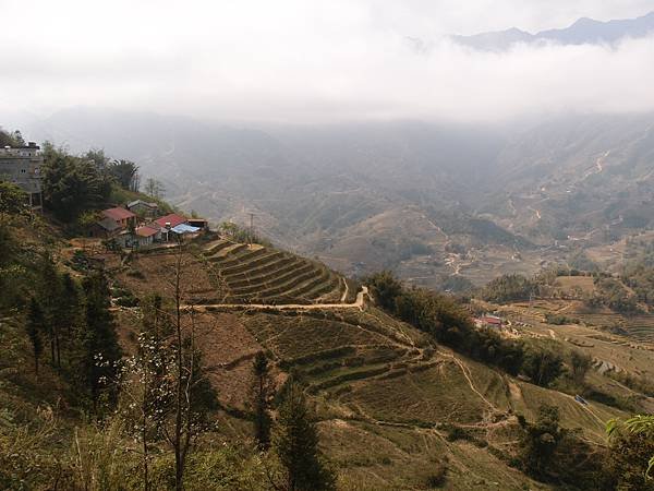 Muong Hoa Valley梯田景觀，春季的自然美景與村莊。