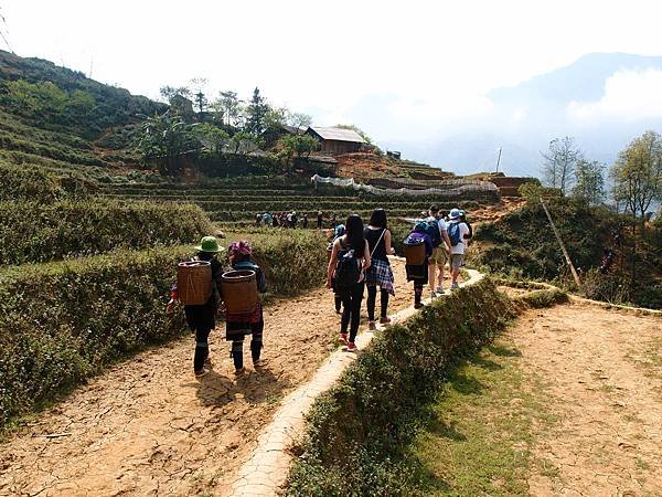 Muong Hoa Valley梯田景觀，春季的自然美景與村莊。