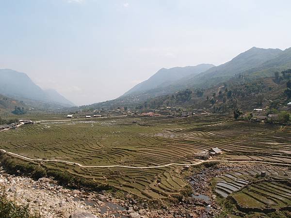 Muong Hoa Valley梯田景觀，春季的自然美景與村莊。