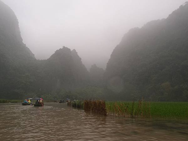 五月成熟的金色稻田，陸龍灣展現另一番壯麗景色。