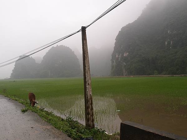 越南北越雙龍自助介紹