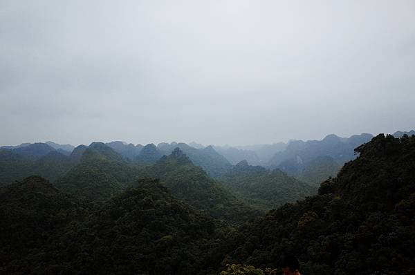 越南北越雙龍自助介紹