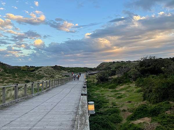 普芬比利蒸汽火車＋菲利普島企鵝歸巢一日遊