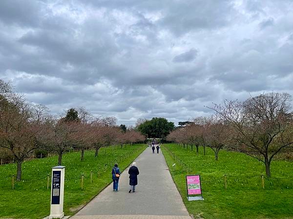 英國倫敦八天七夜自助旅-邱園&amp;大英博物館