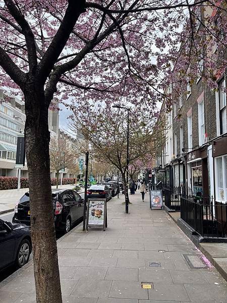 英國倫敦八天七夜自助旅-邱園&amp;大英博物館