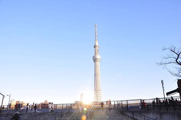 東京迪士尼跨年之旅：2019年日本跨年行程與體驗分享