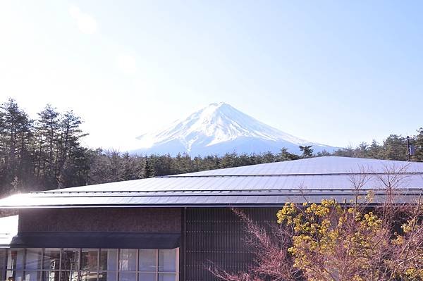 東京迪士尼跨年之旅：2019年日本跨年行程與體驗分享