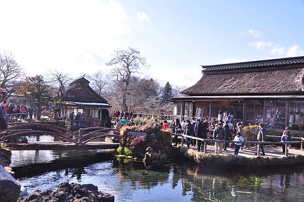 東京迪士尼跨年之旅：2019年日本跨年行程與體驗分享