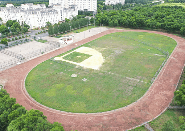 河靜鋼壘球隊回憶錄