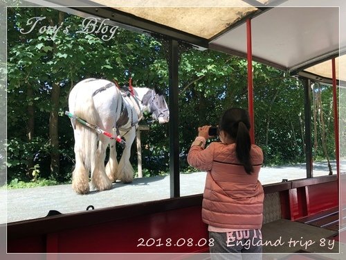 IMG_0935.JPG - 2018.08.08北威爾斯逍遙10日遊
