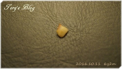 DSC00252.JPG - 2016換牙寶寶