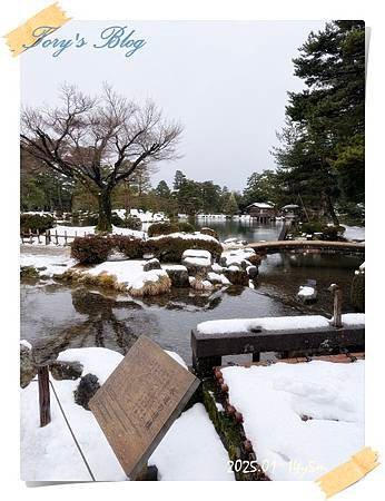 北陸暖湯之旅 2025 Day1 兼六園 下