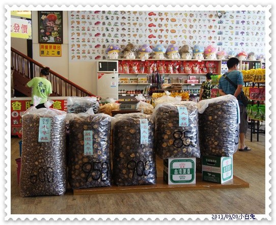震樺百菇美食餐廳-4.jpg