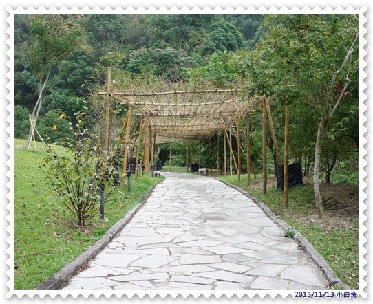 心鮮森林-22.jpg