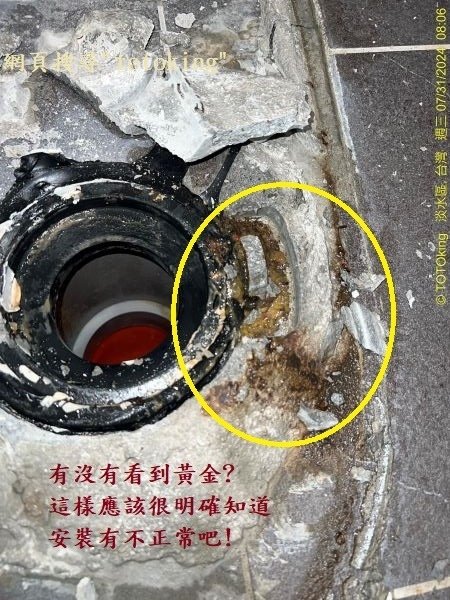 CW288單體馬桶 溫水洗淨便座 衛洗麗 免治馬桶 馬桶沒裝