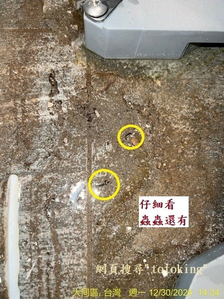 CES9575T 全自動馬桶沒裝好 TOTO全自動馬桶問題 