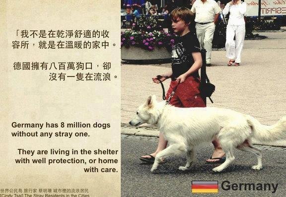 【勵志感人故事】從對待動物心態，就能看出一個國家的水準 